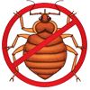 bed bugs control