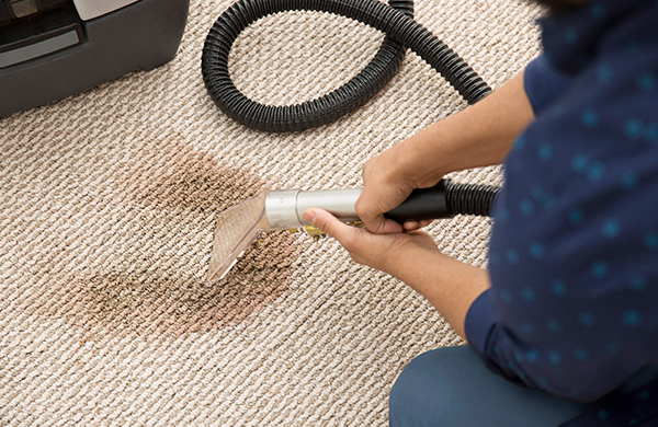 Carpet cleaning North Brisbane